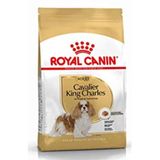 Royal Canin Cavalier King Charles Yetişkin Köpek Maması 3 Kg, ACB396803000