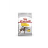 Royal Canin CCN Maxi Dermacomfort 12 kg Köpek Maması