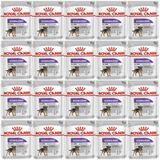 Royal Canin Ccn Sterilised Pouch 20x85 gr Köpek Yaş Maması