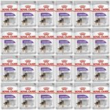 Royal Canin Ccn Sterilised Pouch 24x85 gr Köpek Yaş Maması