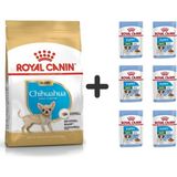 Royal Canin Chihuahua Junior Yavru Köpek Maması 1,5 kg + 6 Adet Yaş Mama