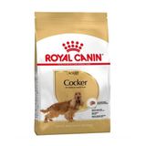 Royal Canin Cocker 25 3 kg Yetişkin Köpek Maması