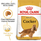 Royal Canin Cocker 3 kg Yetişkin Kuru Köpek Maması