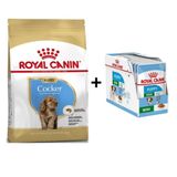 Royal Canin Cocker Junior Yavru Köpek Maması 3 kg + 12 Adet Yaş Mama 3182550813211-6070