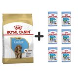 Royal Canin Cocker Junior Yavru Köpek Maması 3 kg + 6 Adet Yaş Mama 3182550813211-6