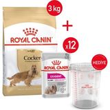 Royal Canin Cocker Kuru Köpek Maması + Exıgent 12*85 Yaş Mama+ Saklama Kabı