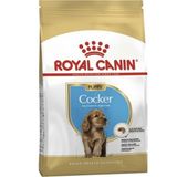Royal Canin Cocker Puppy Irk 2x3 kg Yavru Köpek Maması