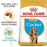 Royal Canin Cocker Puppy Irk 3 kg Yavru Köpek Maması + 2 Adet Temizlik Mendili