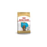Royal Canin Cocker Puppy Junior Yavru Köpek Maması 3 kg, CVP3182550813211