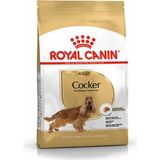 Royal Canin Cocker Yetişkin Köpek Maması 3 kg Kümes Hayvanı Protein Kaynağı ile Özel Formül