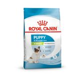 Royal Canin Çok Küçük Irklar Için Yavru Kuru Köpek Maması 500g