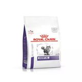 Royal Canin Dental Ağız ve Diş Sağlığı 1.5 kg Yetişkin Kedi Maması