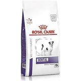 Royal Canin Dental Small Dog Küçük Irk Köpek Maması 3.5 kg (Ağız Kokusu, Diş Taşı ve Tartar Önleyici)