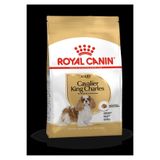 Royal Canin Dog Bhn Cavalier Köpek Maması 1,5 Kg, dd3182550743501