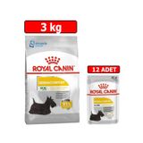 Royal Canin Exigent Mini İkili 3 kg + 12x85 gr Pouch Konserve Köpek Maması