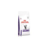 Royal Canin Expert Dental 1.5 kg Kedi Kuru Kedi Maması