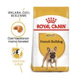 Royal Canin French Bulldog 3 kg Yetişkin Köpek Maması