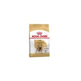 Royal Canin French Bulldog Yetişkin Köpek Maması 3 Kg(.06/2025) - Petshopundan