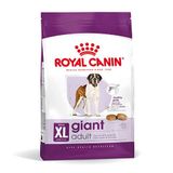 Royal Canin Giant Adult İri Irk Köpek Maması 15 Kg + Temizlik Mendili