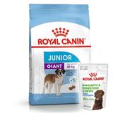 Royal Canin Giant Junior İri Irk Yavru Köpek Maması 15 Kg + 3 Adet Royal Canin Yavru Köpek Ödülü
