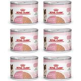 Royal Canin Hamile Anne ve Yavru Kediler İçin Süper Premium Konserve Mama 195 gr x 6 Karışık Tat