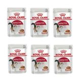 Royal Canin Instictive Gravy Kedi 6x85 gr Yaş Mama