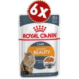 Royal Canin İntense Beauty Jel Kedi Pouch 6x85 gr