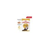 Royal Canin İran Kedisi Yetişkin Ezme 6x85 gr Kedi Konservesi