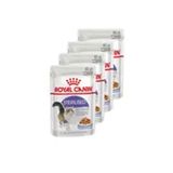 Royal Canin Jelly Sterilised Kısırlaştırılmış Yaş 4x85 gr Kedi Maması