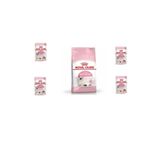 Royal Canin Kitten 4 kg Kuru Kedi Maması+ 4 Adet Kitten Gravy Yaş Mama