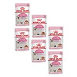 Royal Canin Kitten 6x85 gr Gravy Pouch Yavru Kedi Konservesi