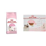 Royal Canin Kitten Kuru Kedi Maması, Yavru Kedi, 4 Kg & Royal Canin Kitten Yaş Kedi Maması, Yavru Kedi, (12 x 85 G)