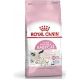 Royal Canin Kitten Tavuk Aromalı Kedi Kuru Maması 4 kg Yavru Kedi İçin Besleyici Formül