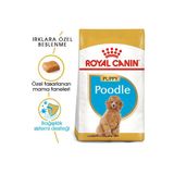Royal Canin Köpek Maması Poodle 2 Kg+2 Pouch