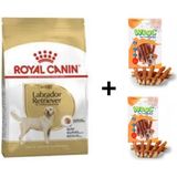 Royal Canin Labradorlar 12 kg Yetişkin Kuru Köpek Maması + 2x80 gr Wooc Ödül