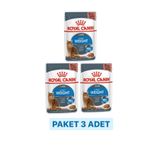 Royal Canin Light Weight Care Gravy 3x85 gr Yaş Kedi Maması