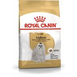Royal Canin Maltese Adult Tavuk Aromalı 1,5 kg Premium Köpek Maması Yetişkin Köpekler İçin