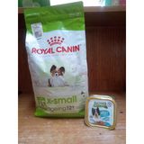 Royal Canin Maltese Adult Yetişkin Köpek Kuru Maması 1.5 Kg+4 Adet Somon&Kuzulu Köpek Pate Konserve