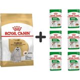 Royal Canin Maltese Bichon 1.5 kg Yetişkin Köpek Maması + 6 Adet Yaş Mama