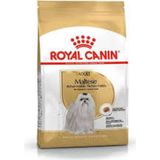 Royal Canin Maltese Bichon Maltais Köpek Maması 1,5 kg - 2 kg