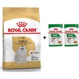 Royal Canin Maltese Bichon Yetişkin 1.5 kg Köpek Maması + 2 Adet Hediye Yaş Mama