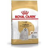 Royal Canin Maltese Yetişkin Kuru Köpek Maması 1.5 kg Yüksek Protein İçeriği ile Dengeli Beslenme