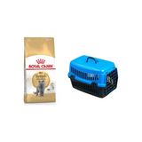 Royal Canin Mavi Adult Yetişkin British Shorthair Kedi Maması 2 Kg Pet Style Taşıma Çantası 49 Cm