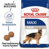 Royal Canin Maxi Adult Büyük Irk Köpek Maması 15 Kg + Temizlik Mendili