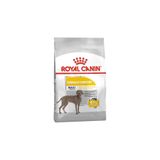 Royal Canin Maxi Dermacomfort 12kg Büyük Irk Köpek Maması Deri Tahrişi Kaşıntıya Eğilimli Köpekler