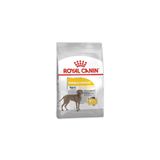 Royal Canin Maxi Dermacomfort Yetişkin Köpek Maması 12 Kg, ACBc024421200