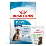Royal Canin Maxi Puppy Büyük Irk Yavru Köpek Maması 15 Kg + 3 Adet Royal Canin Yavru Köpek Ödülü
