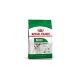 Royal Canin Mini Adult 2 kg Tatlı Süper Premium Köpek Maması Küçük Irk Yetişkinler İçin
