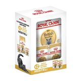 Royal Canin Mini Adult Bundle Küçük Irk Yetişkin Köpek Maması 2 Kg