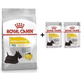 Royal Canin Mini Dermacomfort 3 kg Yetişkin Köpek Maması + 2 Adet Hediye Yaş Mama